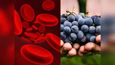 Grapes benefits: ફળોની રાણી કહેવાતા આ ફળમાં છે અનેક ગુણ, આયુર્વેદિક ડોક્ટરે જણાવ્યા 8 ફાયદા