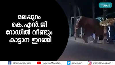 മലപ്പുറം കെ.എൻ.ജി റോഡിൽ വീണ്ടും കാട്ടാന ഇറങ്ങി