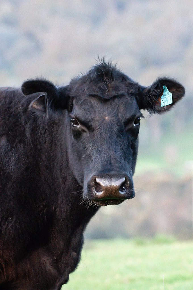 ​ಸಮೃದ್ಧಿಗಾಗಿ