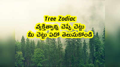 Tree Zodiac: వ్యక్తిత్వాన్ని చెప్పే చెట్టు.. మీ చెట్టు ఏదో తెలుసుకోండి