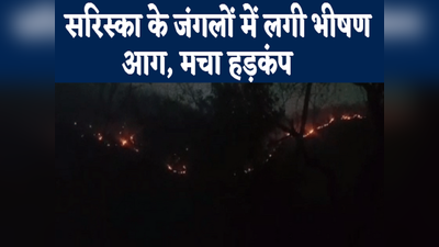 Rajasthan News: अलवर में सरिस्का के जंगलों में लगी भीषण आग, जिला प्रशासन ने मांगी सेना से मदद