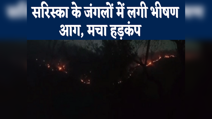 Rajasthan News: अलवर में सरिस्का के जंगलों में लगी भीषण आग, जिला प्रशासन ने मांगी सेना से मदद