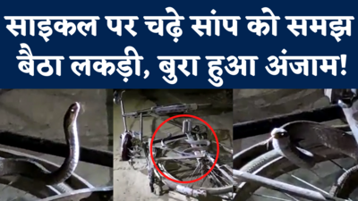 Viral Video: साइकिल पर पर चढ़े सांप को लकड़ी समझ बैठा शख्स, देखिए फिर क्या हुआ