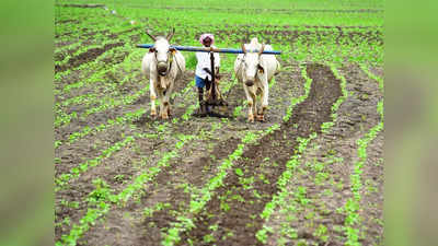 Sahakar Pragya योजना में किसानों को ट्रेनिंग देकर बनाया जाता है आत्मनिर्भर, ना चूकें फायदा उठाने का मौका