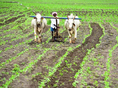 Sahakar Pragya योजना में किसानों को ट्रेनिंग देकर बनाया जाता है आत्मनिर्भर, ना चूकें फायदा उठाने का मौका