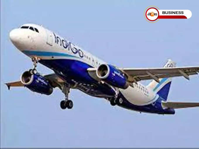 Indigo News