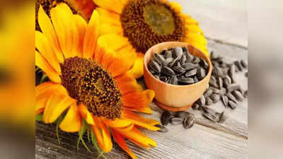 100% இயற்கை நர்குணங்கள் அடங்கிய சிறந்த 5 sunflower oils.