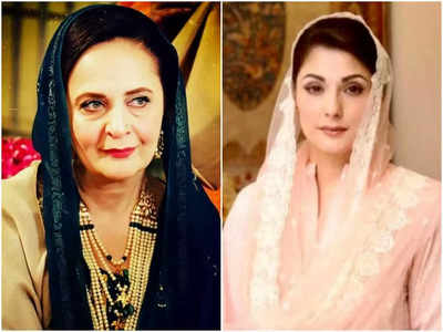 पाकिस्तानी ऐक्ट्रेस Hina ने पूर्व प्रधानमंत्री Nawaz Sharif की बेटी Maryam को क्यों कहा- आपके मुंह में खाक?
