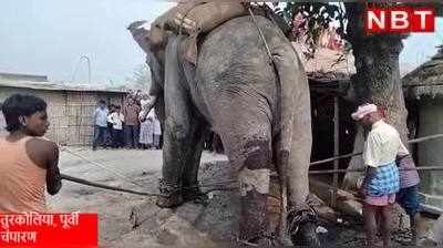 Motihari News : मोतिहारी में पागल हाथी का तांडव देखिए, महावत को मार डाला और कई घरों को किया तबाह