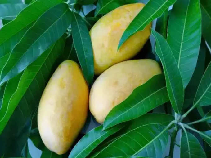 ​আমের পুষ্টিগুণ (Mango Nutritional Value)