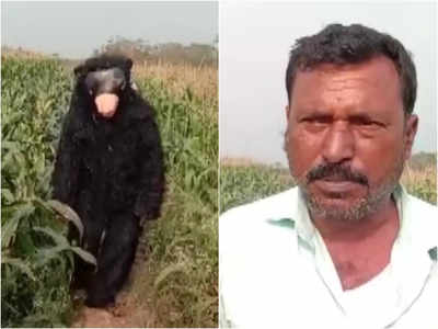 खेत से बंदर-सूअरों को भगाने के लिए हायर किया भालू, रोज 500 रुपये उसे किराया देता है ये किसान!