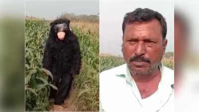 खेत से बंदर-सूअरों को भगाने के लिए हायर किया भालू, रोज 500 रुपये उसे किराया देता है ये किसान!