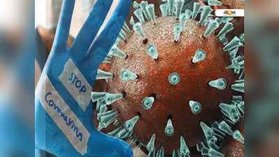 CoronaVirus: অ্যান্টিবডি নয়, করোনা ঠেকাতে কামাল টি কোষের