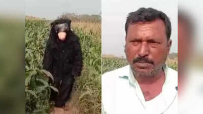 ऐकावं ते नवलंच! माकडांना पळवण्यासाठी नोकरीवर ठेवलं अस्वल, ५०० रुपयांत करतं शेताची राखण
