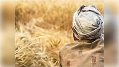 Punjab News: सबसे ज्‍यादा खेती करने वाले पंजाब में सबसे कम ऑर्गेनिक किसान, केंद्रीय कृषि मंत्री ने शेयर क‍िया जैव‍िक खेती का डाटा