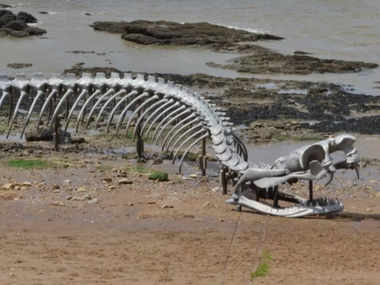 Giant 'Snake Skeleton' On Google Maps Sparks Titanoboa Theories, But