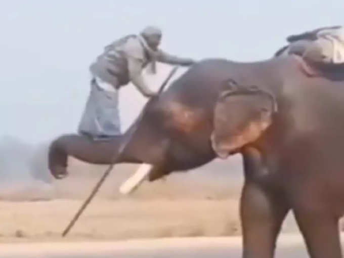 सूंड से हाथी पर चढ़ते हैं वो
