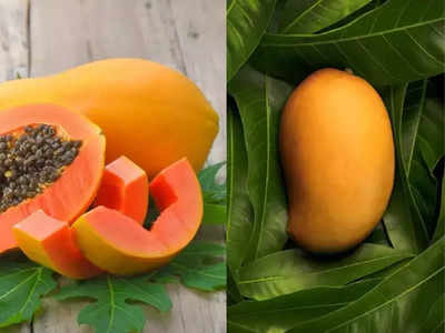 <strong>Mango Vs Papaya :</strong> वेटलॉस व डायबिटीज कंट्रोलसाठी पपई आणि आंब्यापैकी कोणतं फळ आहे बेस्ट? हा आहे जबरदस्त ऑपशन!