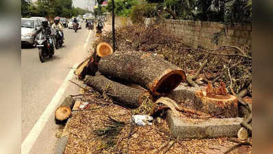 Karnataka News: कर्नाटक में सड़कों के लिए चार साल में काटे 1 लाख से ज्‍यादा पेड़
