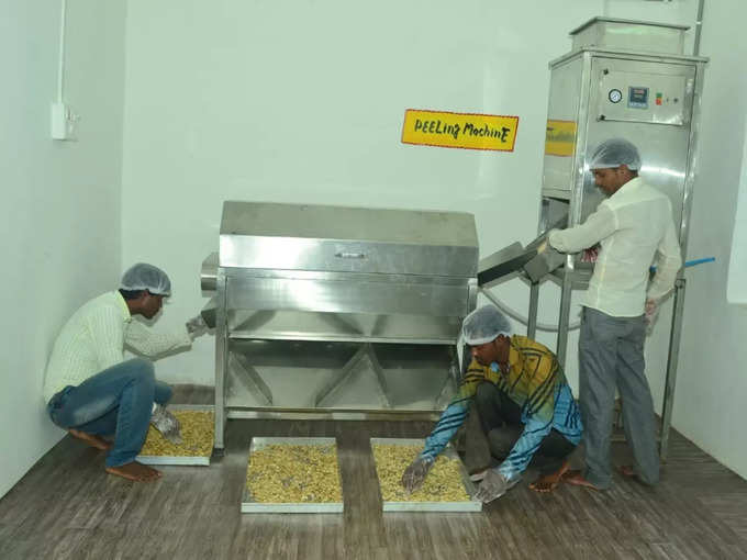 cashew processing unit