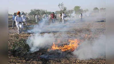 Punjab Farmers News: पंजाब के किसानों के लिए काम की खबर, गेहूं की फसल में लगे आग तो इस नंबर पर करें फोन, ऐसे करें बचाव