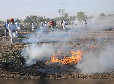 Punjab Farmers News: पंजाब के किसानों के लिए काम की खबर, गेहूं की फसल में लगे आग तो इस नंबर पर करें फोन, ऐसे करें बचाव 