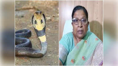 Bihar Snake Bite Policy : सांप काटने से मौत पर 4 लाख रुपए देगी नीतीश सरकार, प्राकृतिक आपदा कैटेगरी में शामिल