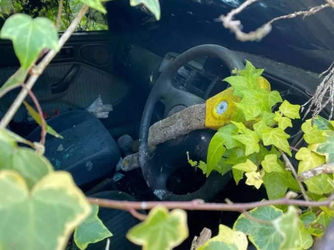 car covered by nature