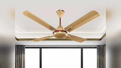 4 ब्लेड वाले इन Ceiling Fan से मिलेगी जबरदस्त हवा, इनमें दी गई है 365 आरपीएम तक की हाई स्पीड मोटर