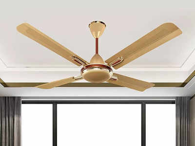 4 ब्लेड वाले इन Ceiling Fan से मिलेगी जबरदस्त हवा, इनमें दी गई है 365 आरपीएम तक की हाई स्पीड मोटर