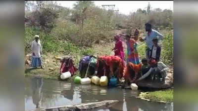 Ashoknagar News : पीएचई राज्य मंत्री के गृह जिले में नाले का पानी पीने को मजबूर रहवासी, पानी भरते वीडियो वायरल