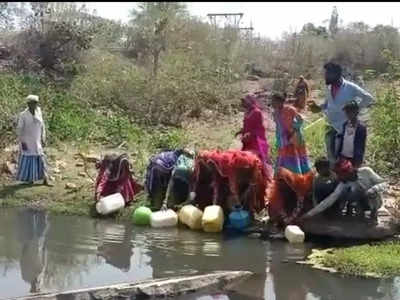 Ashoknagar News : पीएचई राज्य मंत्री के गृह जिले में नाले का पानी पीने को मजबूर रहवासी, पानी भरते वीडियो वायरल
