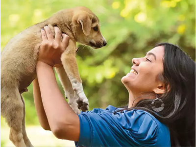 మీ పెట్స్‌ని వదిలేసి ఆఫీస్‌కు వెళ్తున్నారా.. ఈ జాగ్రత్తలు తప్పనిసరి..