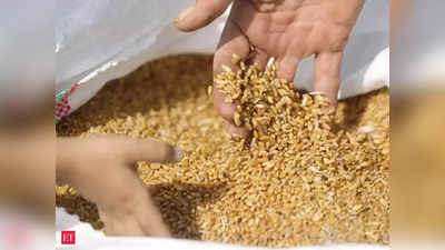 Wheat Export: तेजी से बढ़ रहा गेहूं का निर्यात, इस साल बन सकता है एक करोड़ टन का रेकॉर्ड