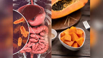 Intestine Health: बड़ी आंत में घाव बना देती हैं ये 5 चीजें, Dietitian ने बताए आंतों को मजबूत बनाने वाले 10 फूड