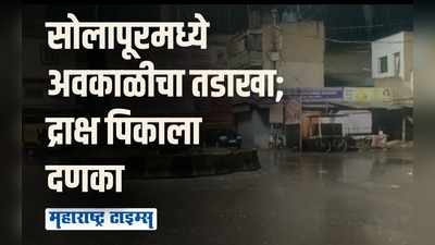 सोलापूरमध्ये वादळी वाऱ्यासह अवकाळी पावसाचा तडाखा; द्राक्षांचे मोठ्या प्रमाणात नुकसान