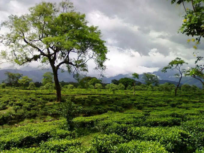 ​ಹಿಮಾಲಯ ಅದ್ಭುತ ಸೌಂದರ್ಯ