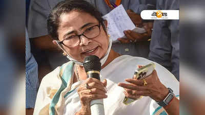 একটু কটু কথা বলেছে..., আলিয়াকাণ্ডে মুখ খুললেন Mamata Banerjee