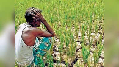 Bihar News: बिहार के किसानों पर एक और महंगाई की मार, नीतीश सरकार वसूलेगी तीन गुना लगान
