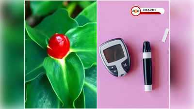 Insulin Plant for Diabetes: এই গাছের একটা পাতা চিবিয়ে খেলেই কমবে সুগার! জানেন Insulin Plant সম্পর্কে…