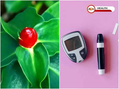 Insulin Plant for Diabetes: এই গাছের একটা পাতা চিবিয়ে খেলেই কমবে সুগার! জানেন Insulin Plant সম্পর্কে…