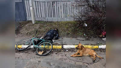 रूस-यूक्रेन युद्ध: कहीं मालिक की लाश के पास बैठा रहा वफादार कुत्ता, तो कहीं भूख से मरे 150 बेजुबान