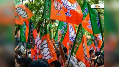 দেশের ৭৮% রাজনৈতিক চাঁদাই BJP-র তহবিলে!