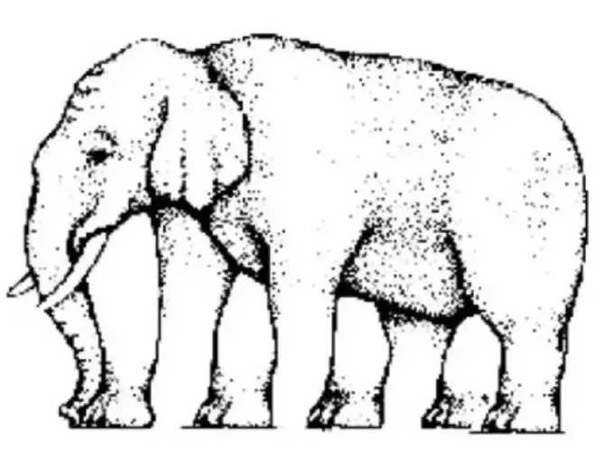 या फोटोमध्ये हत्तीचे किती पाय दिसतायेत?