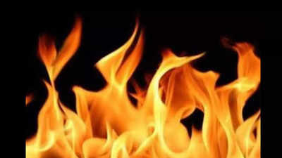 Delhi Fire News: आग लगने से मकान में फंसा परिवार, दमकलकर्मियों ने रेस्क्यू किया