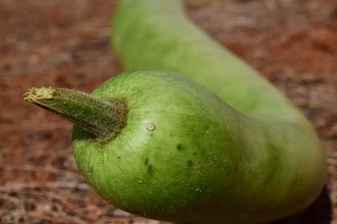 ​ಇದನ್ನು ತಿನ್ನದಿರಿ