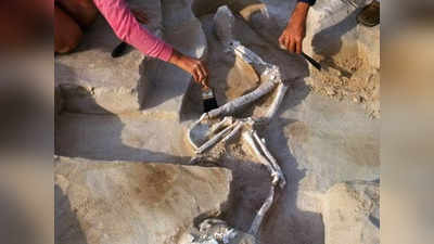 Mungo Man: 42000 साल पहले मरे 108 लोगों को अब दफनाने की तैयारी, ऑस्ट्रेलिया में ऐसा क्यों हो रहा है