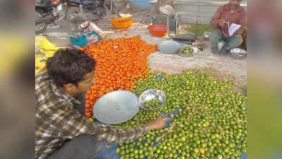 Lemon Rate in Ujjain : गर्मी के सीजन में नींबू ने तोड़ा रिकार्ड, उज्‍जैन में 400 रुपए किलो बिक रहा नींबू