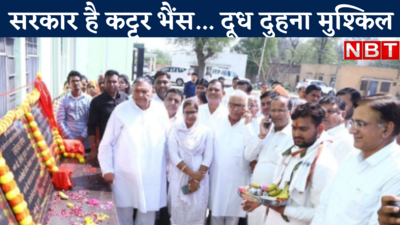 Rajasthan News : कांग्रेस विधायक की नजर में गहलोत सरकार है कट्टर भैंस, जिसका दूध दुहना मुश्किल
