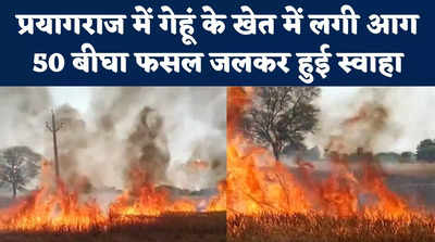 Prayagraj News: प्रयागराज में हाइटेंशन तार के कारण लगी भीषण आग, दर्जनों बीघे फसल जलकर राख